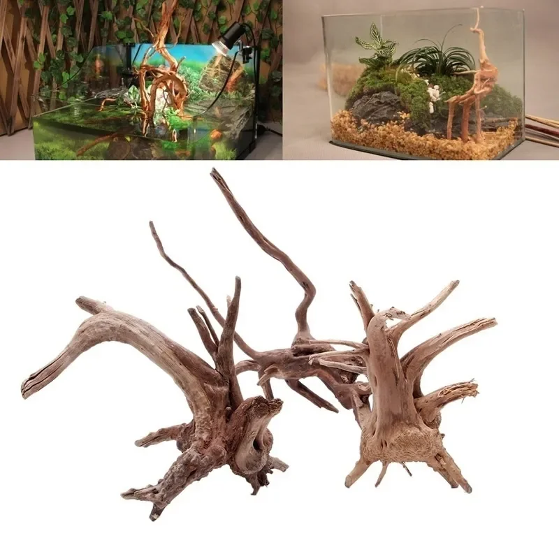 Planted Aquarium With Driftwood - Natural Tree Trunk Driftwood Aquarium Fish