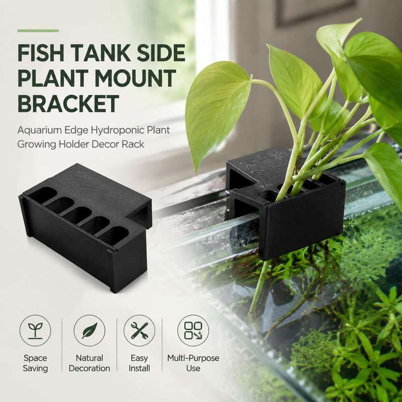 Aquarium Plant Diseases - Fish Tank Side Plant Mount Bracket