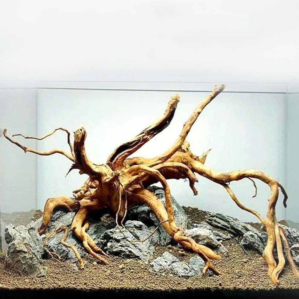 Planted Aquarium With Driftwood - 20-25CM Large Aquarium Driftwood Natural Fish