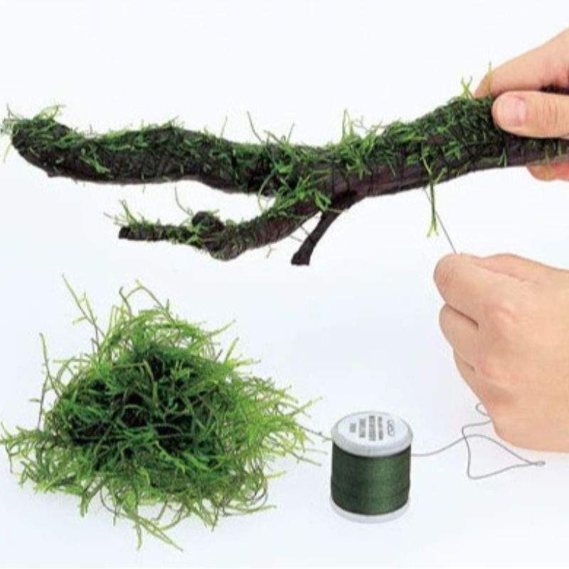 Planted Aquarium With Driftwood - Biodegradable Aquarium Moss Thread 200m Aquascaping