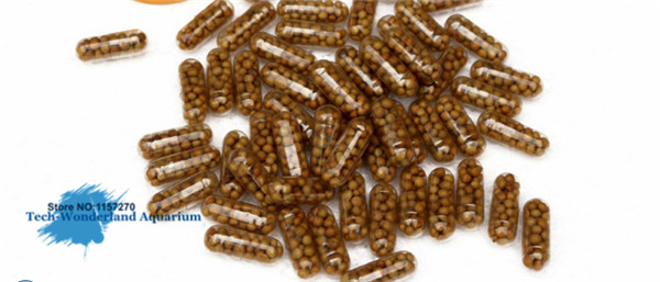 Aquarium Plant Diseases - 40tab Root Fertilizer for Water Plant