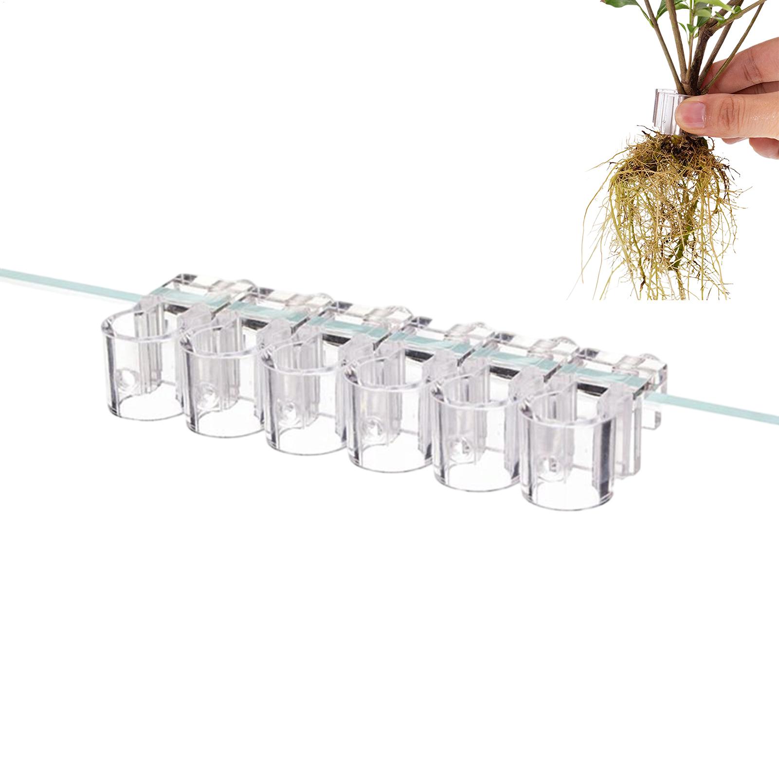 Aquarium Plant Diseases - Plant Holder For Aquarium 6 Pieces