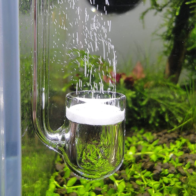 D0AD Glass CO2 Diffuser for Aq - Aquarium Plant Design review and price