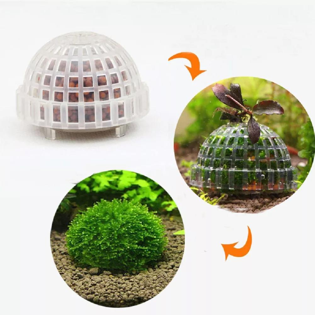 1pc Aquarium Moss Ball Holders - Planted Aquarium Models review and price