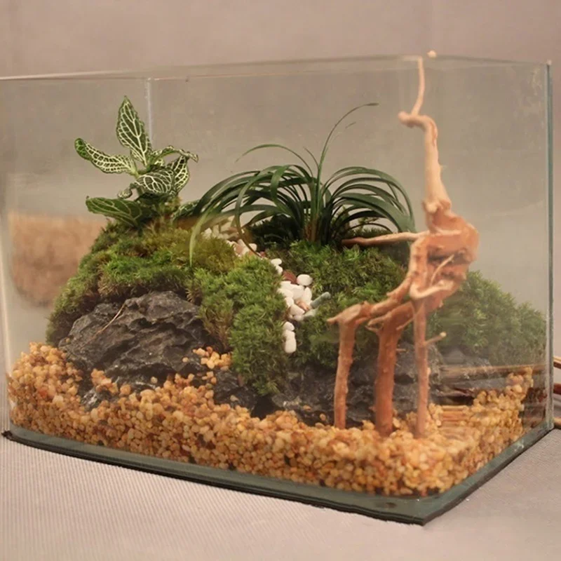 Natural Tree Trunk Driftwood A - Planted Aquarium With Driftwood review and price