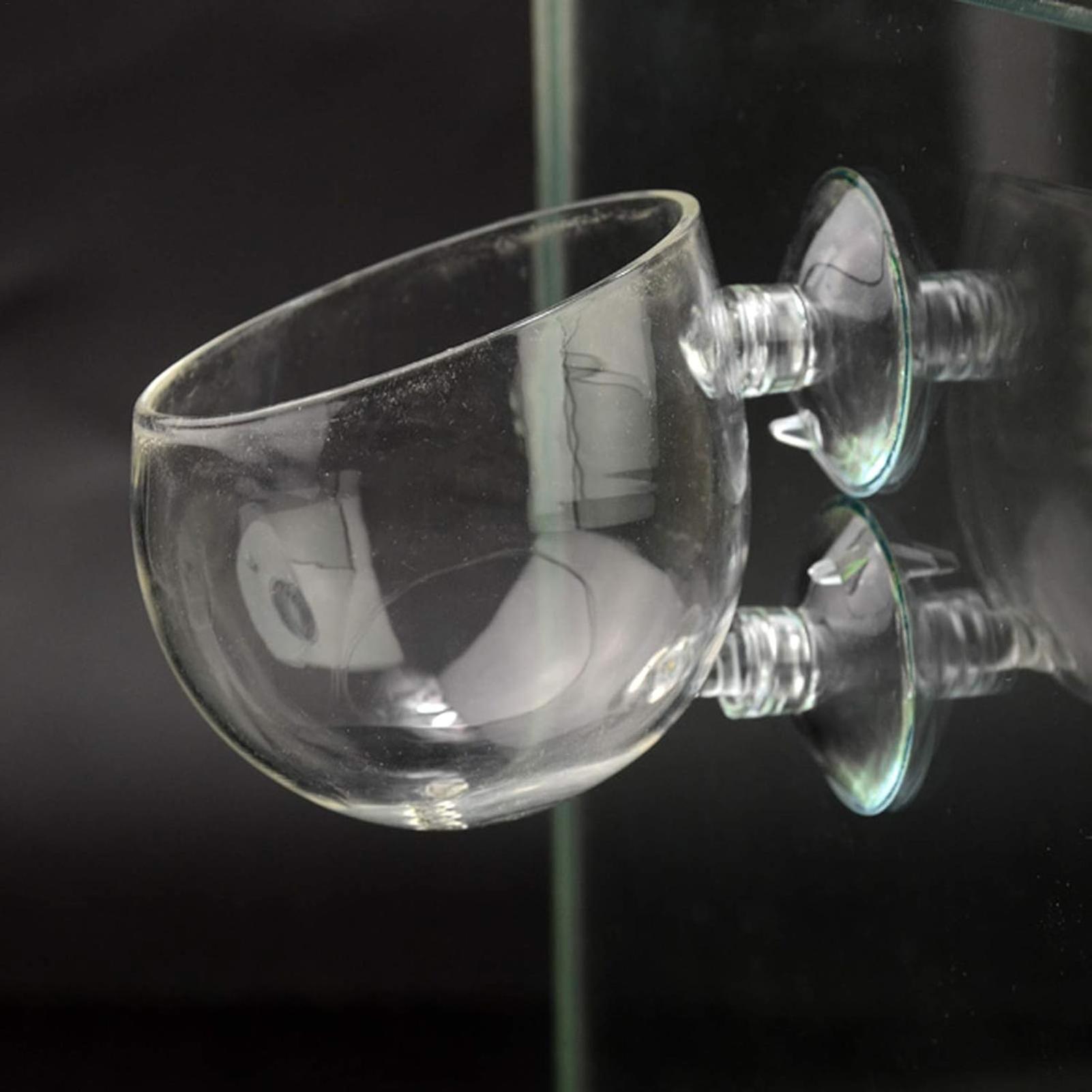 Aquarium Plant Holder Glass Aq - Aquarium Plant Design review and price