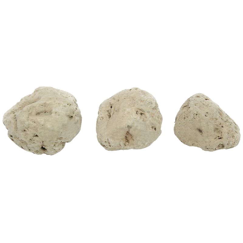 12Pcs Floating Real Rocks Aqua - Planted Aquarium Models review and price