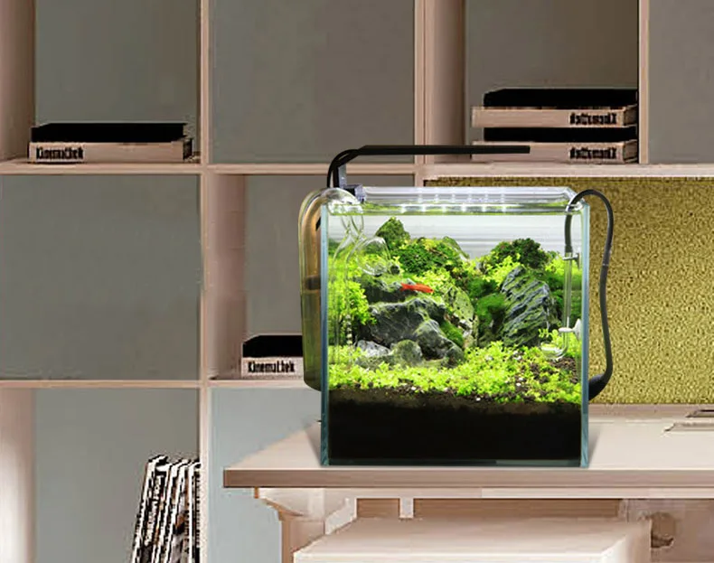 Chihiros C Series ADA Style Pl - Aquarium Plant Diseases review and price