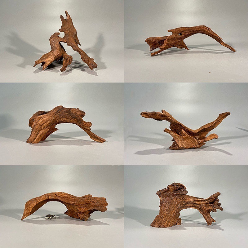 Natural Driftwood Aquarium Mos - Planted Aquarium With Driftwood review and price