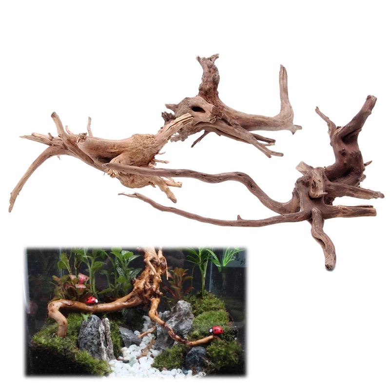 Wood Natural Trunk Driftwood T - Planted Aquarium With Driftwood review and price
