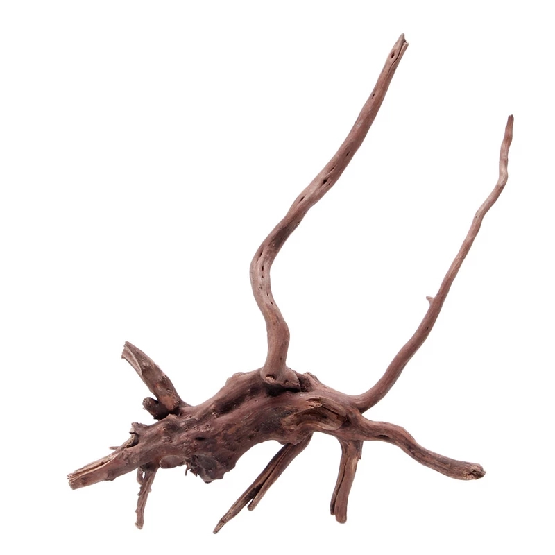 Wood Natural Trunk Driftwood T - Planted Aquarium With Driftwood review and price