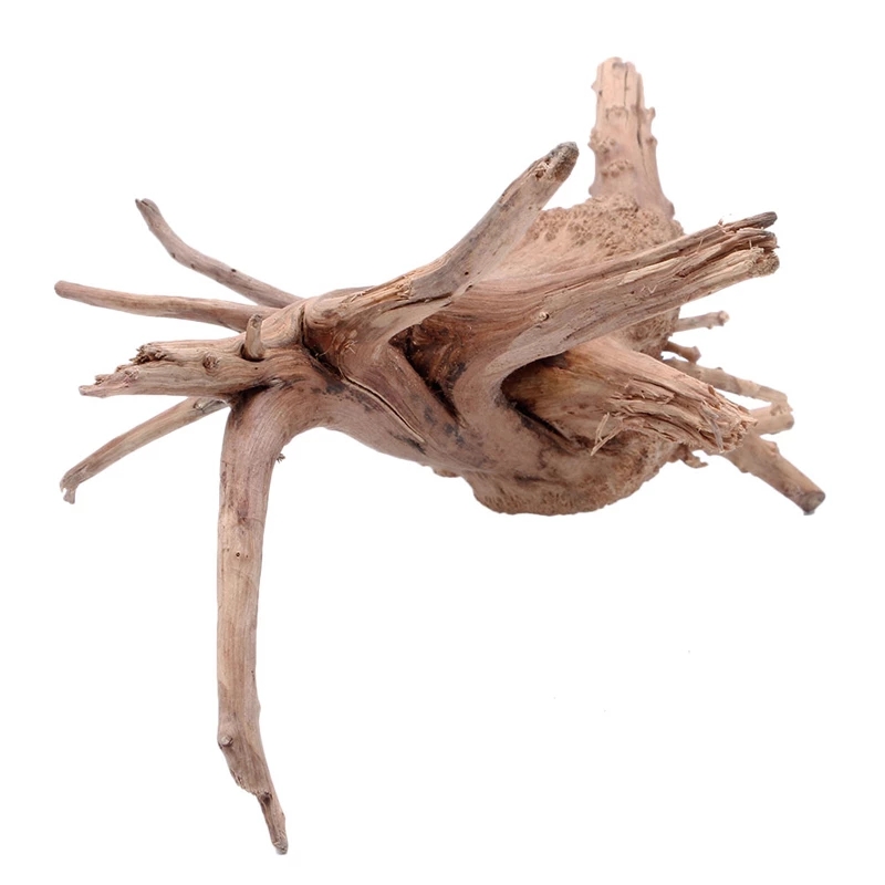 Wood Natural Trunk Driftwood T - Planted Aquarium With Driftwood review and price