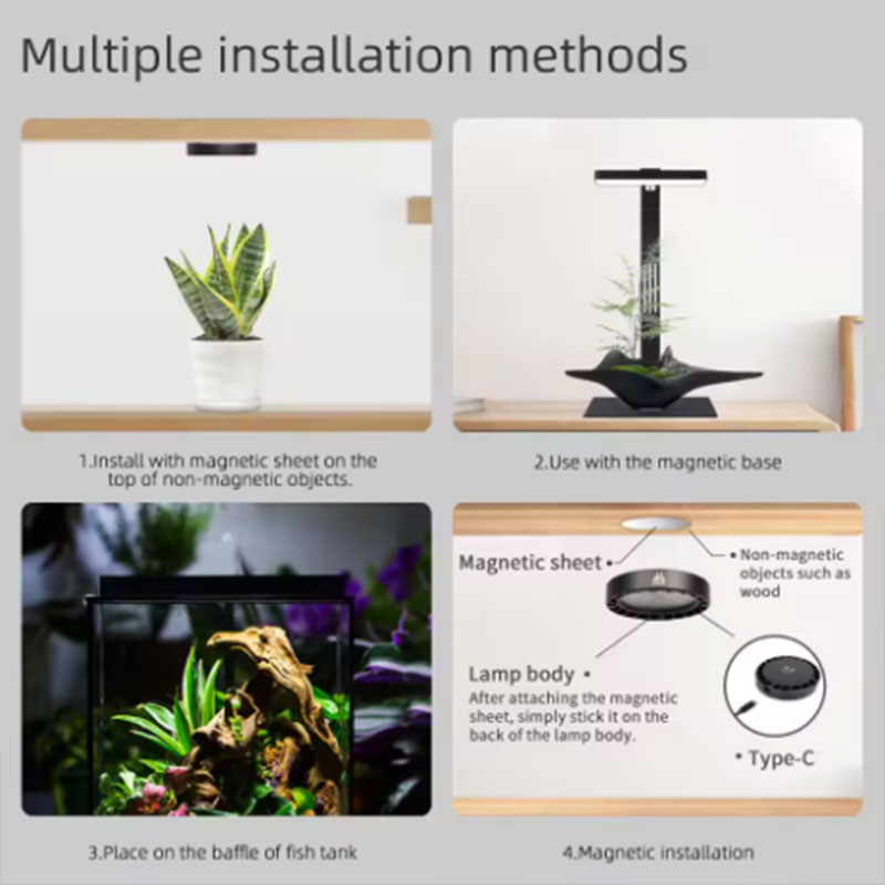WEEK AQUA Mag Pro Mag Max Nano - Aquarium Plant Diseases review and price