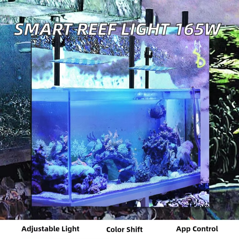 165W Dimmable WiFi APP Control - Planted Aquarium Models review and price