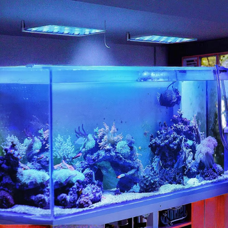 165W Dimmable WiFi APP Control - Planted Aquarium Models review and price