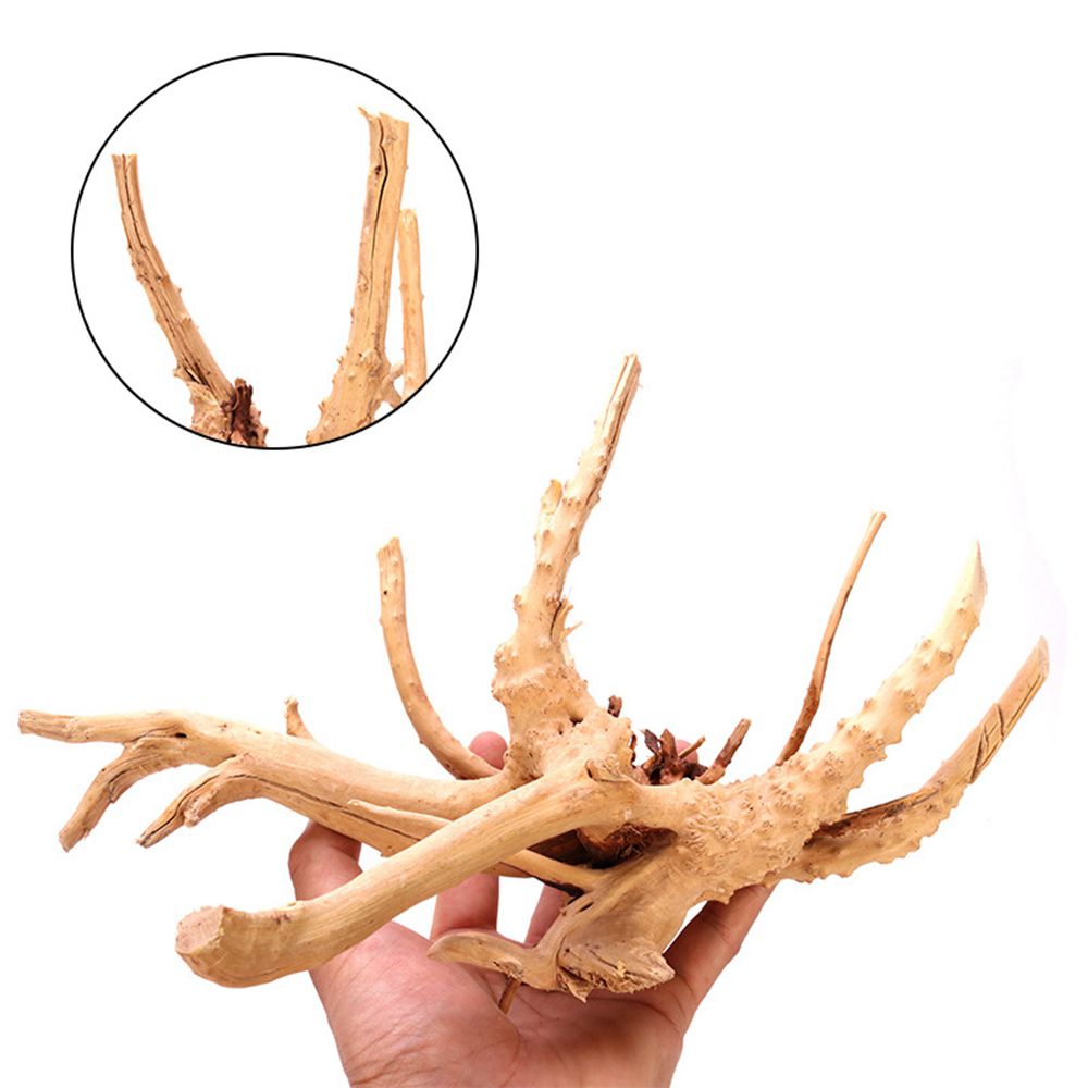 1 Pcs Wood Reptile Fish Tank O - Planted Aquarium With Driftwood review and price