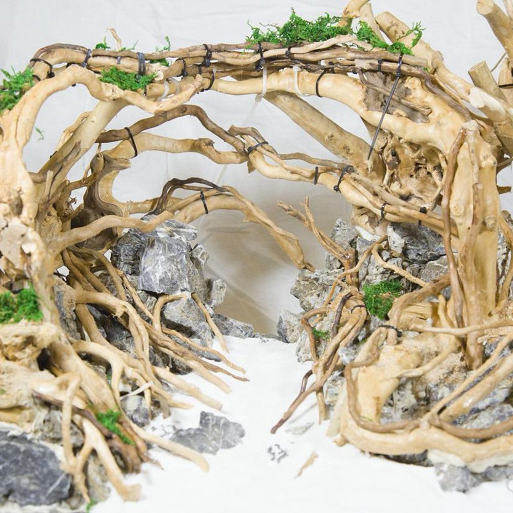 1 Pcs Wood Reptile Fish Tank O - Planted Aquarium With Driftwood review and price