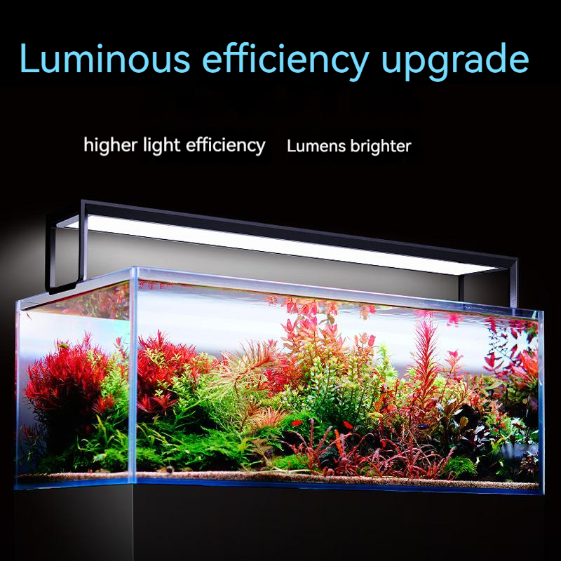 NETLEA 540S/590S Aquarium Full - Aquarium Plant Diseases review and price