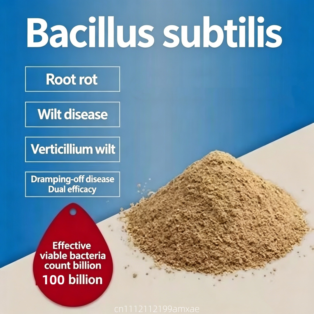 High Activity Bacillus Subtili - Aquarium Plant Diseases review and price