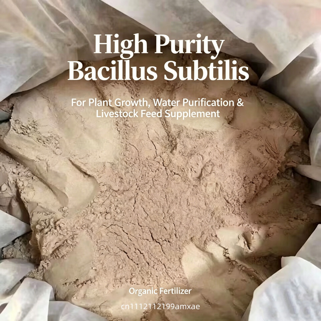 High Activity Bacillus Subtili - Aquarium Plant Diseases review and price
