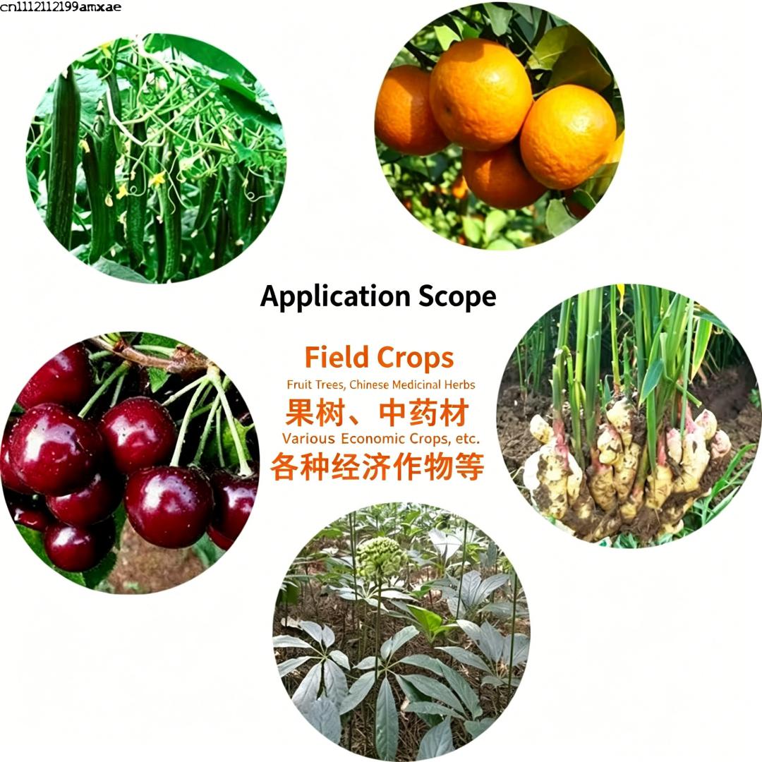 High Activity Bacillus Subtili - Aquarium Plant Diseases review and price
