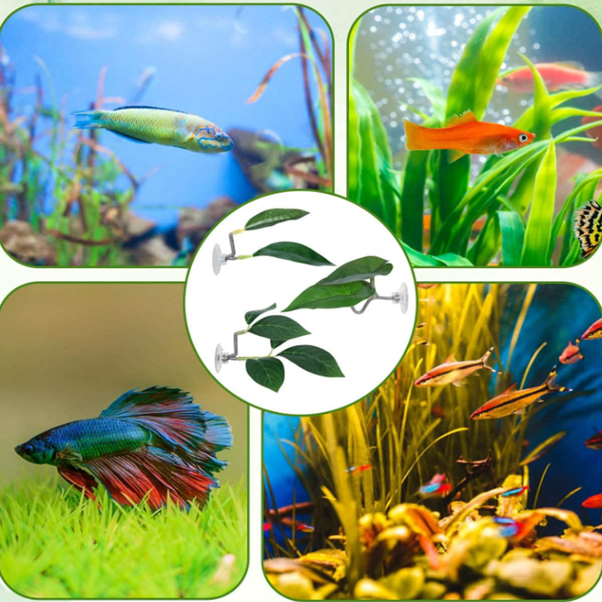 1 PC Betta Fish Hammock Soft A - Aquarium Plant Design review and price