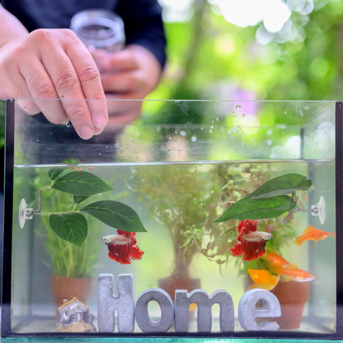 1 PC Betta Fish Hammock Soft A - Aquarium Plant Design review and price