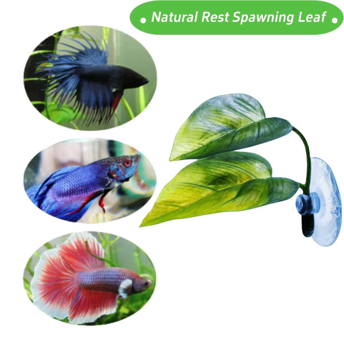 Pets Fish Tank Decor Betta Rel - Aquarium Plant Design review and price