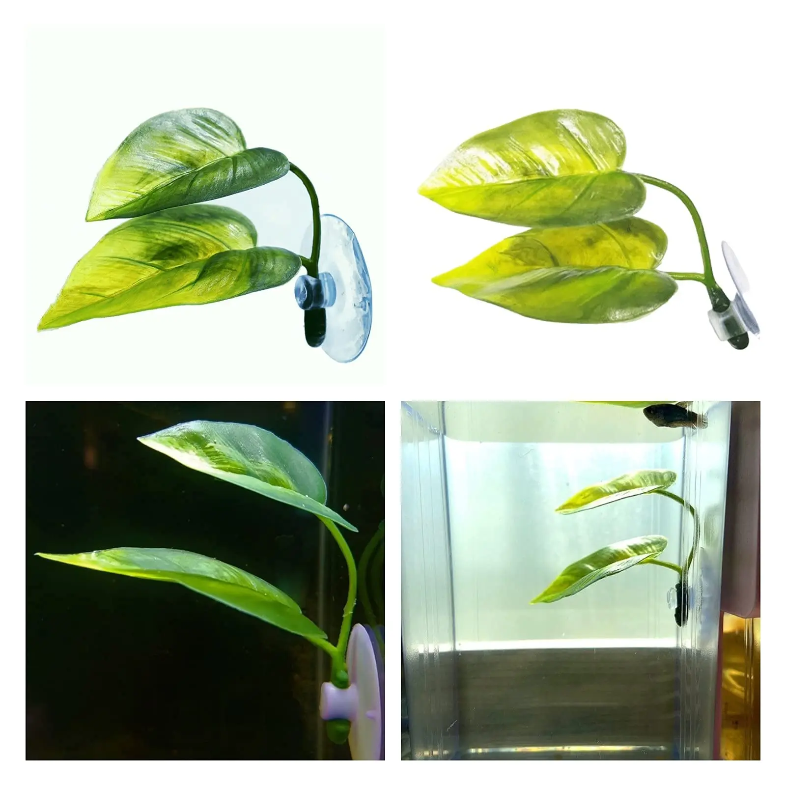Pets Fish Tank Decor Betta Rel - Aquarium Plant Design review and price
