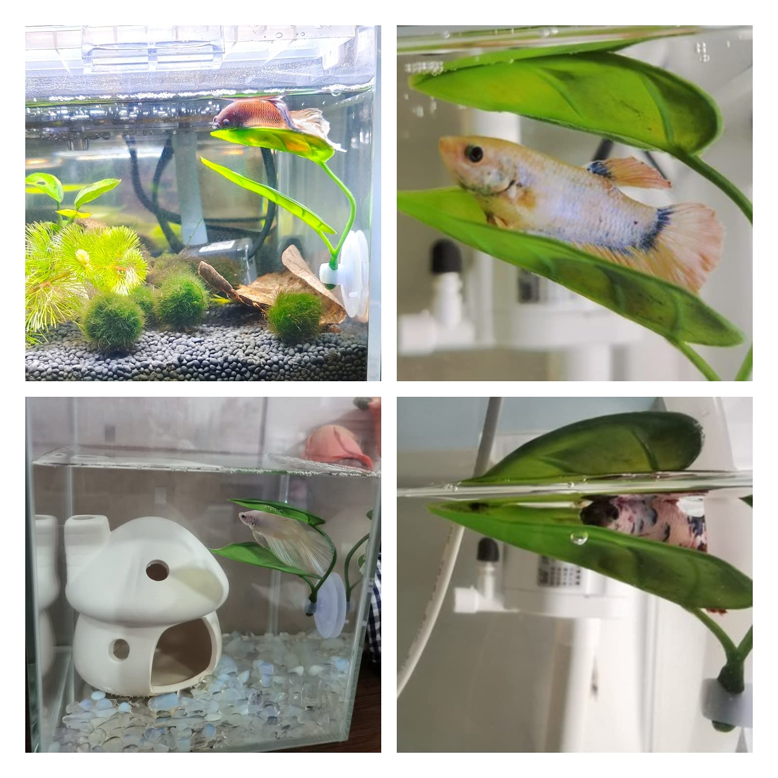 Pets Fish Tank Decor Betta Rel - Aquarium Plant Design review and price