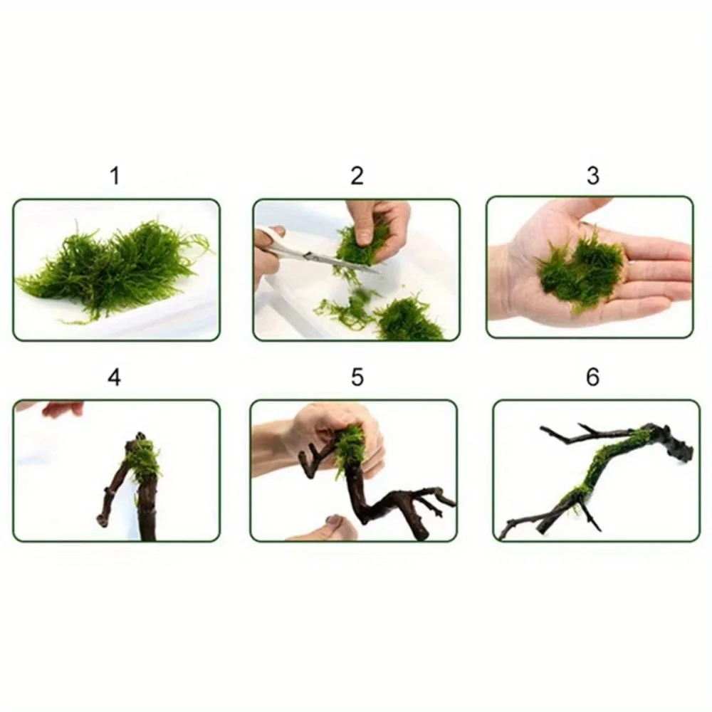 1Roll DIY Moss Line Binding Li - Planted Aquarium With Driftwood review and price