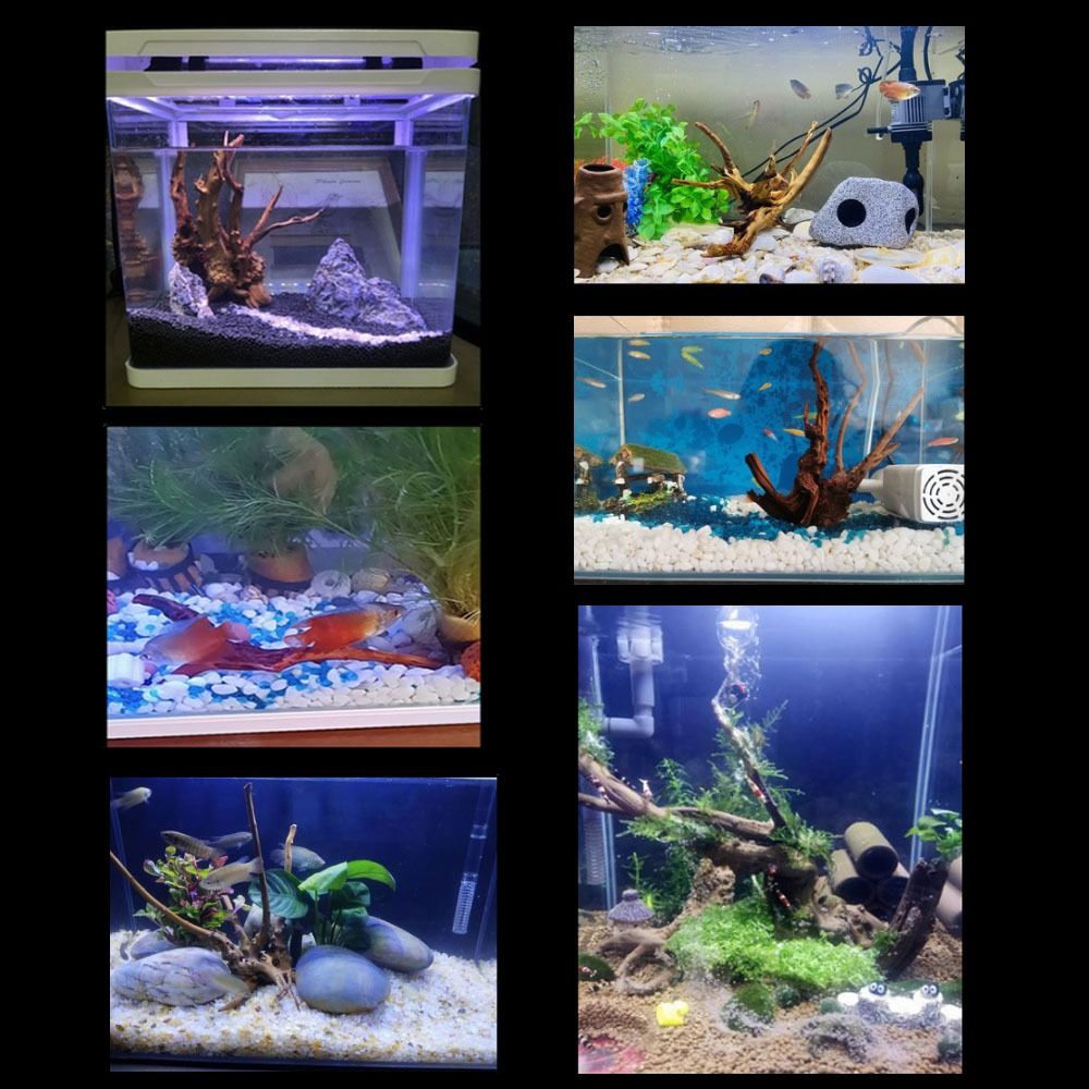 20-25CM Large Aquarium Driftwo - Planted Aquarium With Driftwood review and price