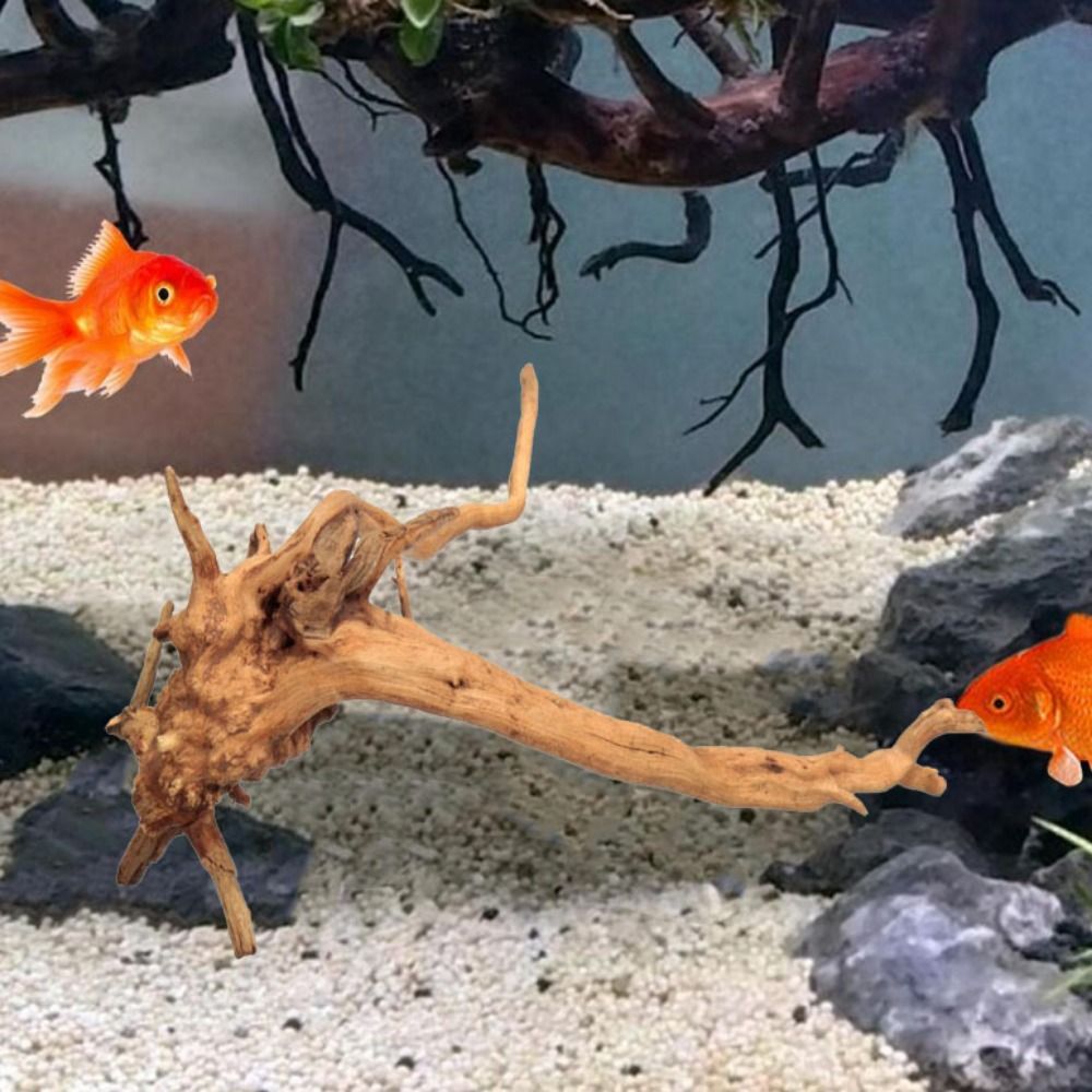 20-25CM Large Aquarium Driftwo - Planted Aquarium With Driftwood review and price