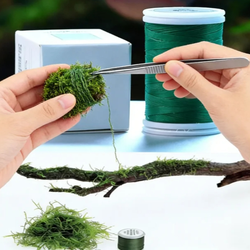 Biodegradable Aquarium Moss Th - Planted Aquarium With Driftwood review and price