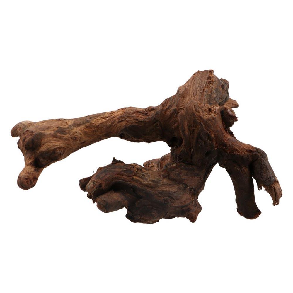 Creative Irregular Shape Coral - Aquarium Plant Design review and price