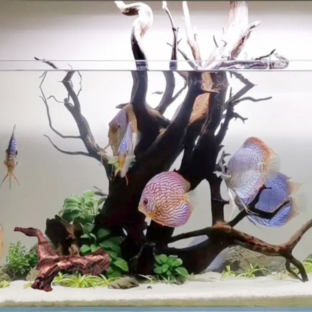 Creative Irregular Shape Coral - Aquarium Plant Design review and price