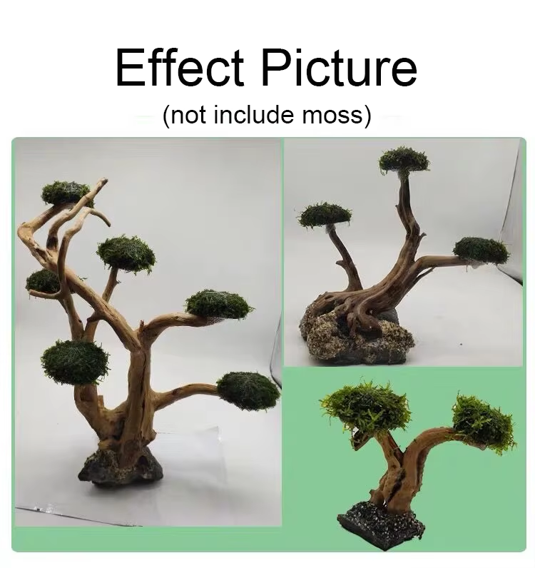 Fish Tank Plant Moss Tree Deco - Planted Aquarium With Driftwood review and price