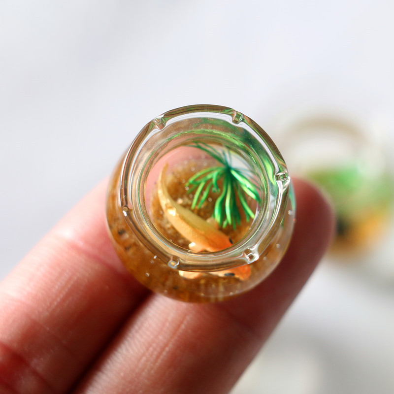 1Pc 1:12 Mini DollHouse Simula - Planted Aquarium Models review and price