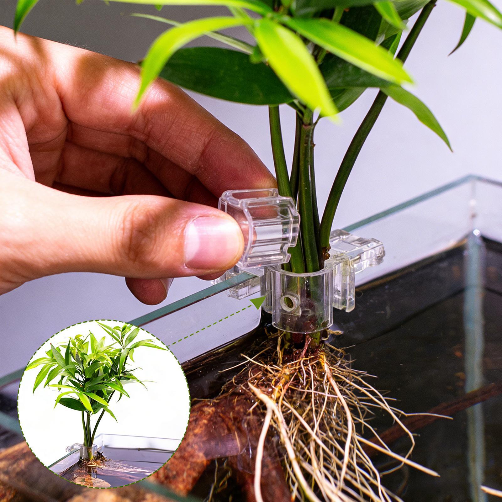 Fish Tank Plant Holder 6 Piece - Aquarium Plant Diseases review and price
