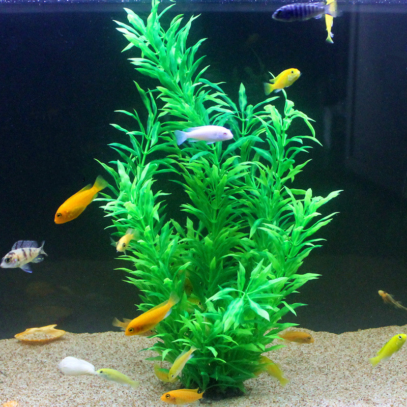 50CM Artificial Fish Tank Rare - Aquarium Plant Design review and price