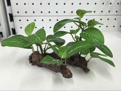 1pcs Plastic artificial tree t - Planted Aquarium With Driftwood review and price