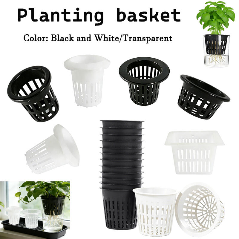 5/10Pcs Hydroponic Colonizatio - Aquarium Plant Diseases review and price